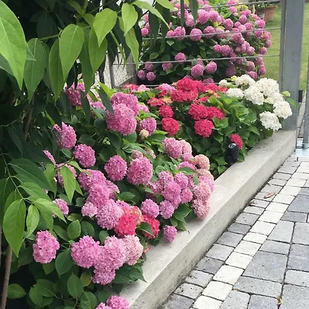 La Lanterna & Guest house 3*