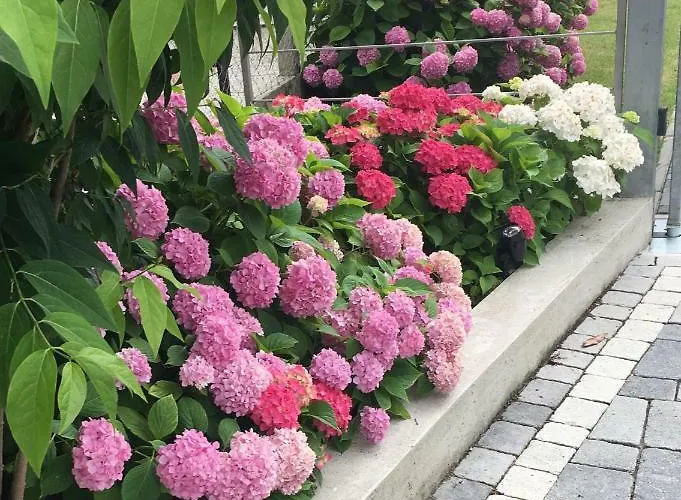 La Lanterna & Gasthof 3*