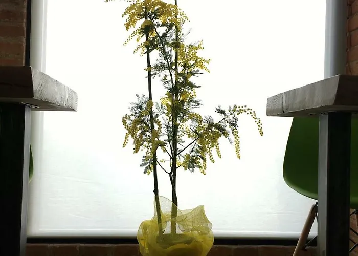 La Lanterna & 3* Quinto Vicentino