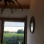 Guest house La Lanterna &